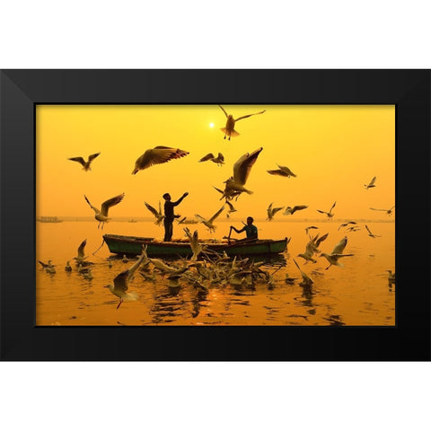 Feeding Birds Black Modern Wood Framed Art Print by Chakraborty, Debopam