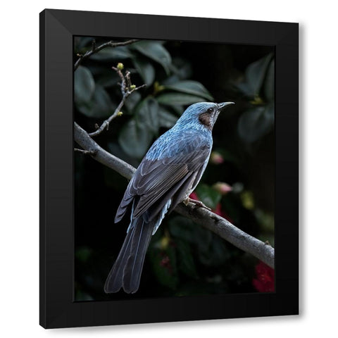 My Blue Bird Black Modern Wood Framed Art Print with Double Matting by Hirai, Takiko