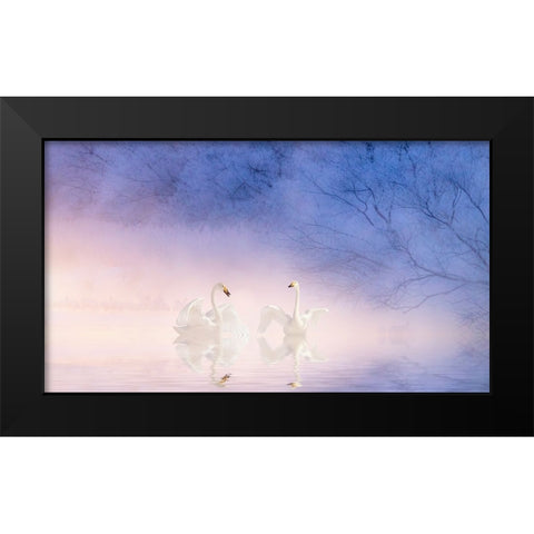 Swan Black Modern Wood Framed Art Print by Fengying Long