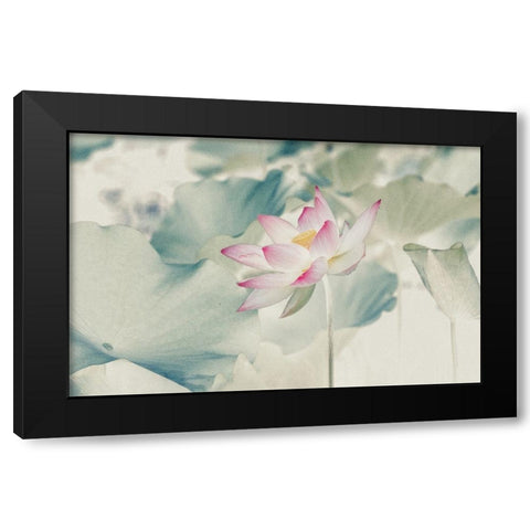 Pictorial_Lotus Black Modern Wood Framed Art Print by Liu, Yanny