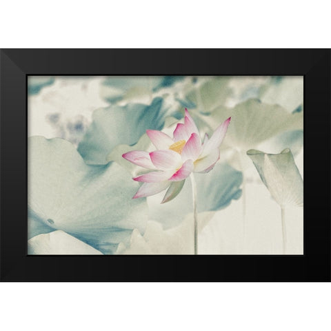 Pictorial_Lotus Black Modern Wood Framed Art Print by Liu, Yanny