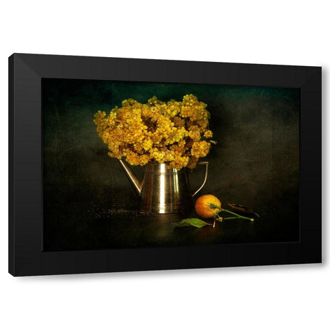 Helichrysum Arenarium/Altapn Otu Black Modern Wood Framed Art Print with Double Matting by Sahin, Ramiz