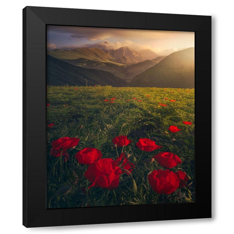 Flowers on Fire Black Modern Wood Framed Art Print with Double Matting by Sulaiman Alshehhi, Ahmed