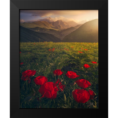 Flowers on Fire Black Modern Wood Framed Art Print by Sulaiman Alshehhi, Ahmed