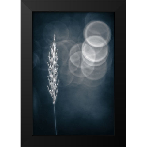 Lines a Circles Black Modern Wood Framed Art Print by Eisenmann, Ulrike