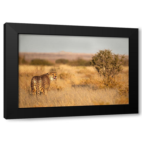 Memories Of Africa Black Modern Wood Framed Art Print with Double Matting by Wiener, Iris