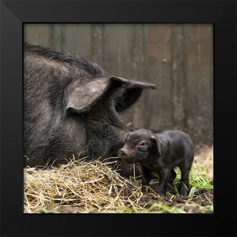 Tiny Black Modern Wood Framed Art Print by Van Den, Gert