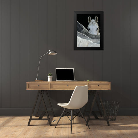 Look Black Modern Wood Framed Art Print by Malovrh, Milan