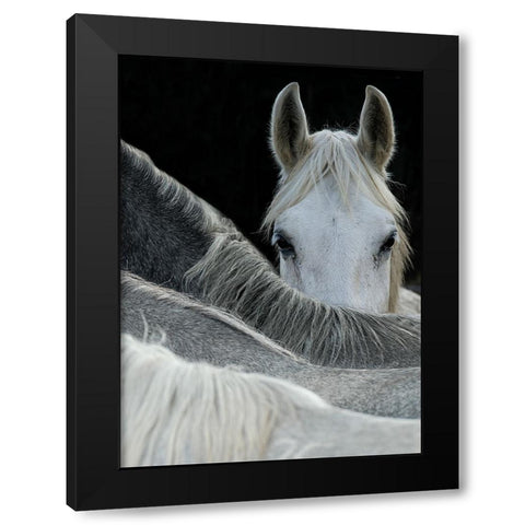 Look Black Modern Wood Framed Art Print by Malovrh, Milan