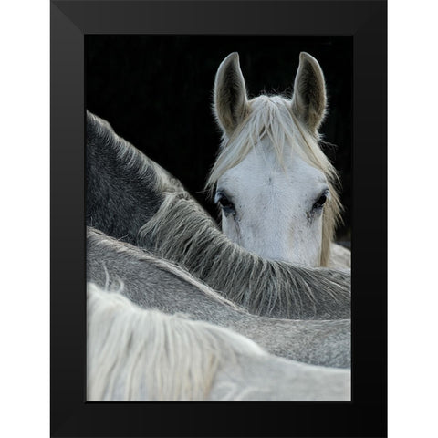 Look Black Modern Wood Framed Art Print by Malovrh, Milan