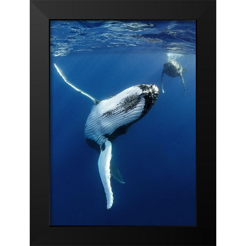 free hugs ! Black Modern Wood Framed Art Print by Peneau, Cedric