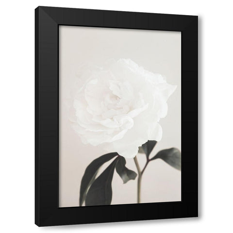 Peony 03 Black Modern Wood Framed Art Print with Double Matting by 1x Studio III