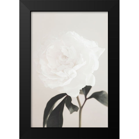 Peony 03 Black Modern Wood Framed Art Print by 1x Studio III