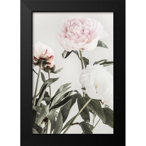 Peony 04 Black Modern Wood Framed Art Print by 1x Studio III