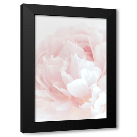 Peony 05 Black Modern Wood Framed Art Print with Double Matting by 1x Studio III