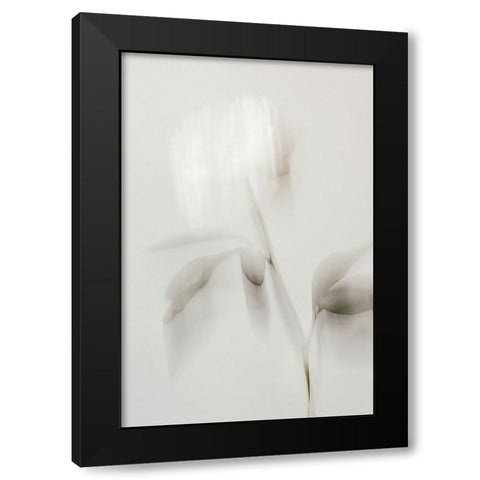Peony 06 Black Modern Wood Framed Art Print by 1x Studio III
