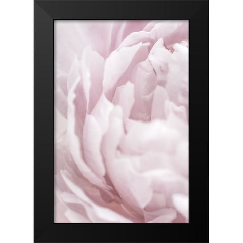 Peony 15 Black Modern Wood Framed Art Print by 1x Studio III