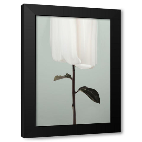 Peony 17 Black Modern Wood Framed Art Print by 1x Studio III