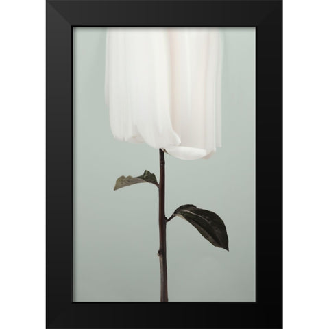 Peony 17 Black Modern Wood Framed Art Print by 1x Studio III