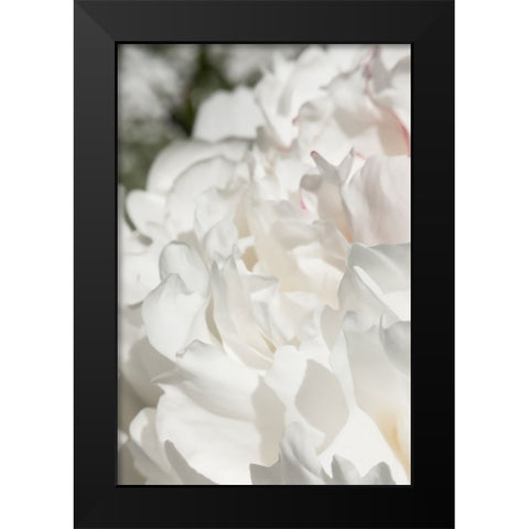 Peony 20 Black Modern Wood Framed Art Print by 1x Studio III