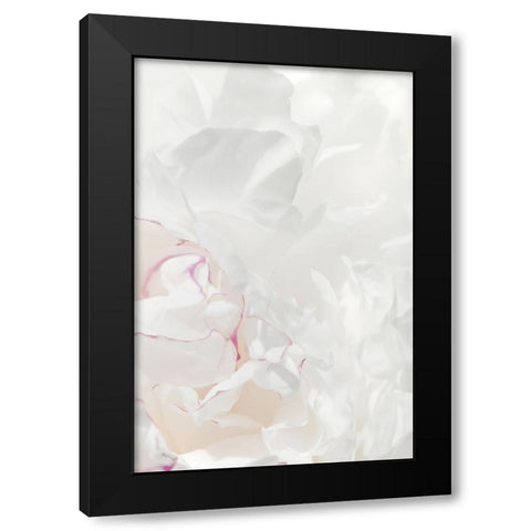 Peony 21 Black Modern Wood Framed Art Print by 1x Studio III