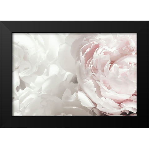 Peony 25 Black Modern Wood Framed Art Print by 1x Studio III