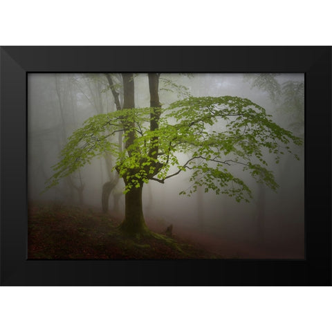 Green Leaves. Black Modern Wood Framed Art Print by Uranga, Pedro