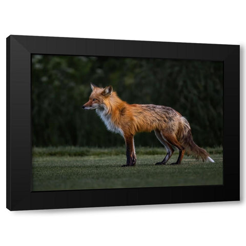 You Caught My Eyes Black Modern Wood Framed Art Print with Double Matting by Tseng, Judy