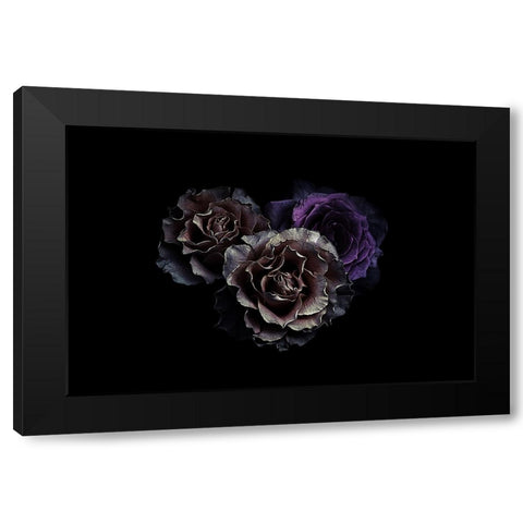 Roses Black Modern Wood Framed Art Print with Double Matting by Julie, Angel