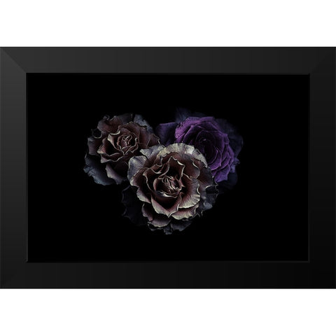 Roses Black Modern Wood Framed Art Print by Julie, Angel