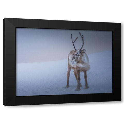 Against The Elements Black Modern Wood Framed Art Print by Venier, Giovanni