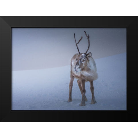 Against The Elements Black Modern Wood Framed Art Print by Venier, Giovanni