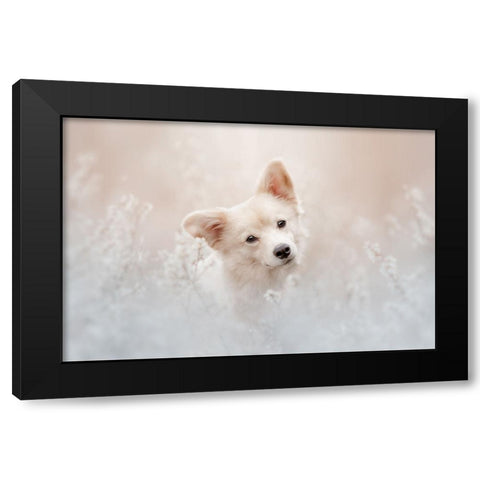 Beige Camouflage Black Modern Wood Framed Art Print with Double Matting by Shandor, Ve