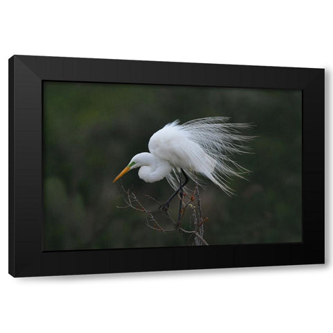 Morning Black Modern Wood Framed Art Print with Double Matting by Wan, Anna