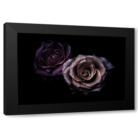 Roses Black Modern Wood Framed Art Print by Julie, Angel