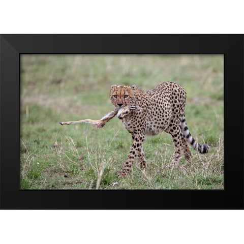 One Leg Black Modern Wood Framed Art Print by Catta, Alessandro