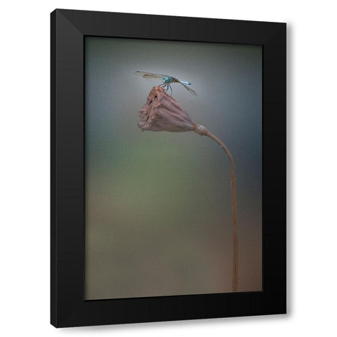 Summer Black Modern Wood Framed Art Print with Double Matting by Lu, Linda