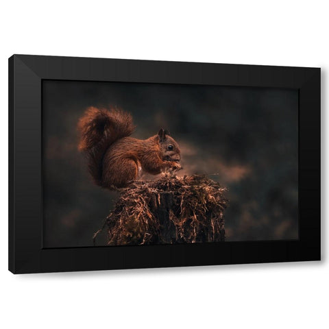 Dark Forest Black Modern Wood Framed Art Print by J Ter, Gert
