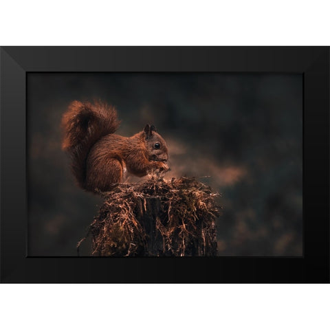 Dark Forest Black Modern Wood Framed Art Print by J Ter, Gert