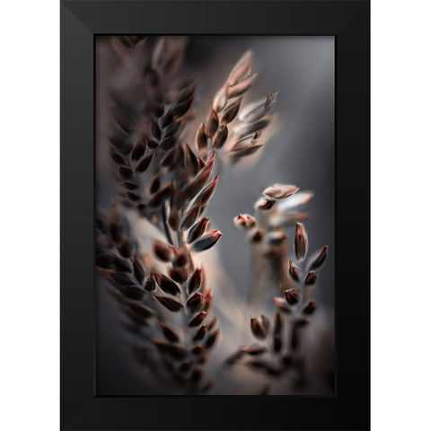 Bentgrass Black Modern Wood Framed Art Print by Zvinakeviciute, Kristina