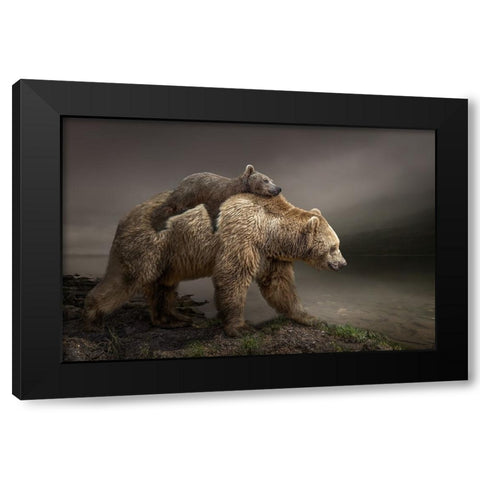 Babybear Black Modern Wood Framed Art Print with Double Matting by Egger, Marcel
