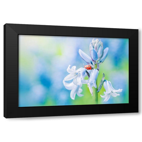 Lady In Blue Black Modern Wood Framed Art Print with Double Matting by Parker, Jacky