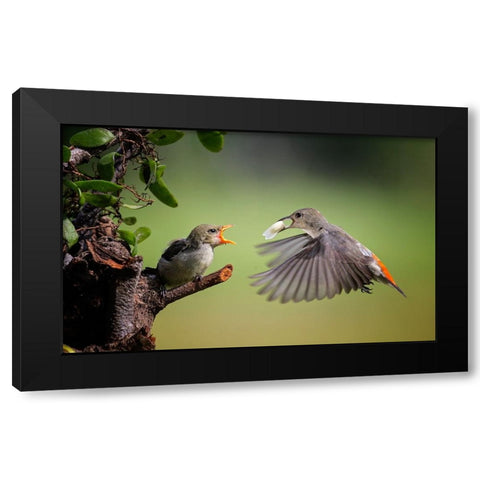 I Am Coming Black Modern Wood Framed Art Print by Muliani Hartojo, Angela