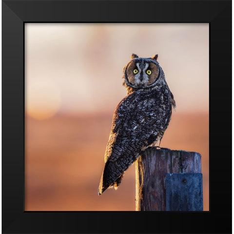 Good Morning Black Modern Wood Framed Art Print by Taksing