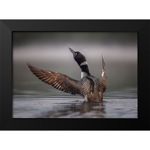 Splash Black Modern Wood Framed Art Print by Dan, Kai