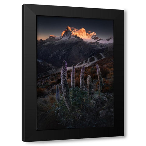 Lupin Towers Black Modern Wood Framed Art Print by Nienartowicz, Karol