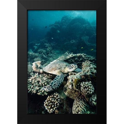 Life Of The Deep Black Modern Wood Framed Art Print by Melesan, Serge