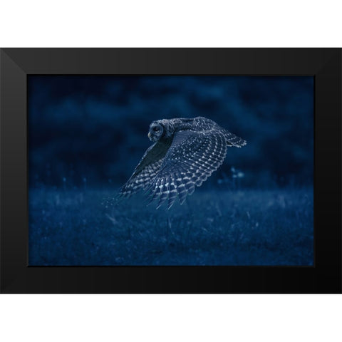 Night Patrol Black Modern Wood Framed Art Print by Li, Rob