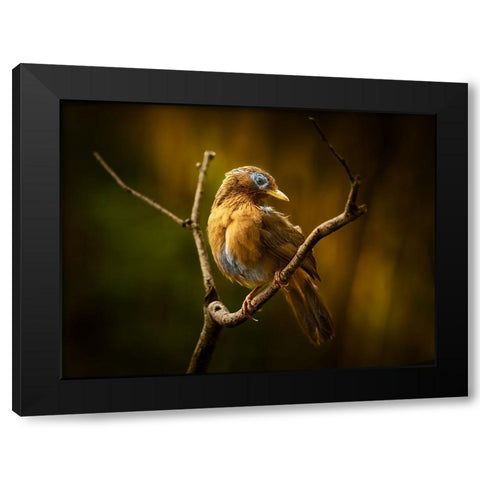 Beautiful Costume Black Modern Wood Framed Art Print with Double Matting by Hirai, Takiko