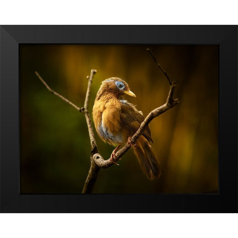 Beautiful Costume Black Modern Wood Framed Art Print by Hirai, Takiko